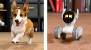Perro robot con IA inteligente, mascota electrónica, compañero robot interactivo para entretenimiento en el hogar