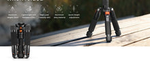 K&F CONCEPT 52cm Desktop Mini Tripod for Camera Compact Tripod 360° Low Profile Ball Head 1/4'' Screw for Camera Video Camcorder