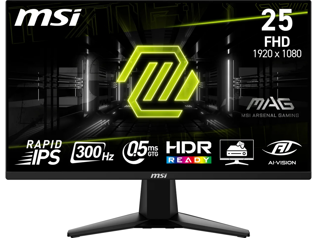 MSI 24" (24.5" viewable) Full HD 300Hz IPS with AMD FreeSync Premium 0.5ms HDR Ready Ai vision Gaming Computer Monitor MAG 255XF