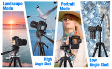 Camera Tripod, 74" DSLR Camera Tripod with 1 QR Plates for Sony/Nikon/Canon, Lightweight Video Tripod Stand