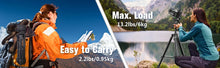 Camera Tripod, 74" DSLR Camera Tripod with 1 QR Plates for Sony/Nikon/Canon, Lightweight Video Tripod Stand