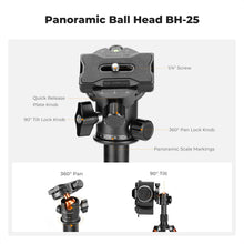 K&F CONCEPT 52cm Desktop Mini Tripod for Camera Compact Tripod 360° Low Profile Ball Head 1/4'' Screw for Camera Video Camcorder