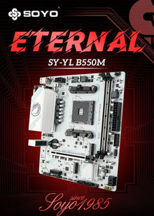 SOYO AMD Ryzen B550M ARGB DDR4 Motherboard AM4 Computer Combo Set Office Desktop PC Game PCIE4.0*16 M.2 NVME/MGFF SATA USB3.0 24PIN+8PIN USB2.0 HD/VGA Memory up to 64GB